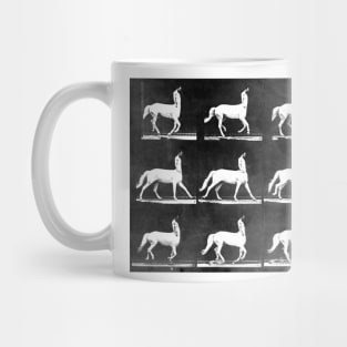 A Study of the Movement of Centaurs (Canter). Mug